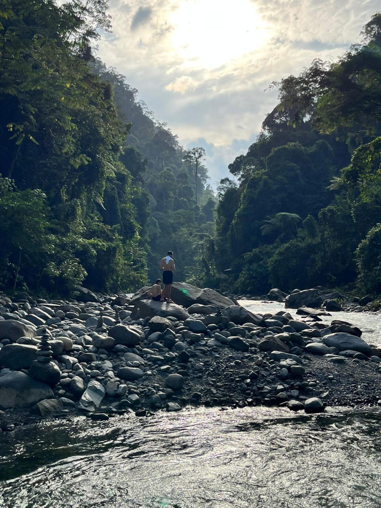 Asim Paris Guesthouse & Jungle Trekking Bukit Lawang Exterior foto