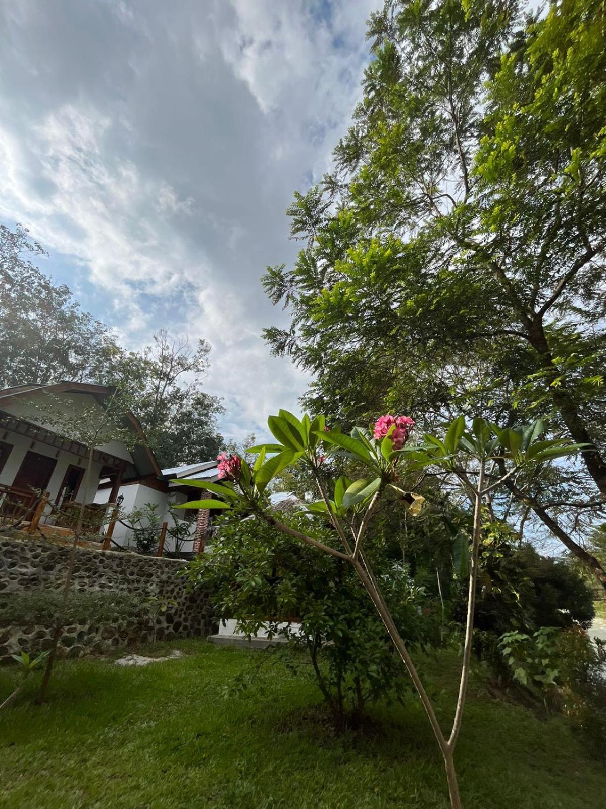 Asim Paris Guesthouse & Jungle Trekking Bukit Lawang Exterior foto