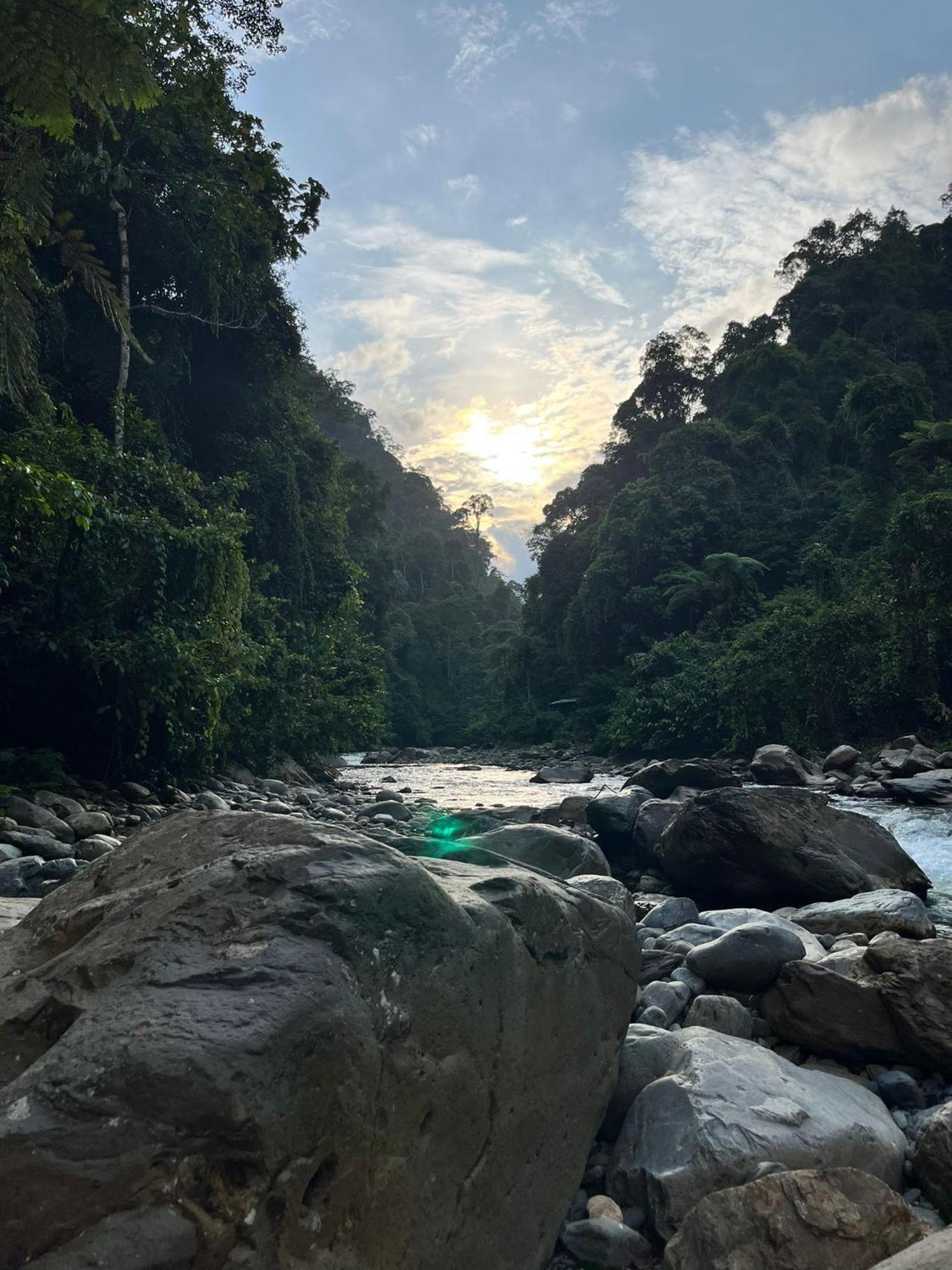 Asim Paris Guesthouse & Jungle Trekking Bukit Lawang Exterior foto