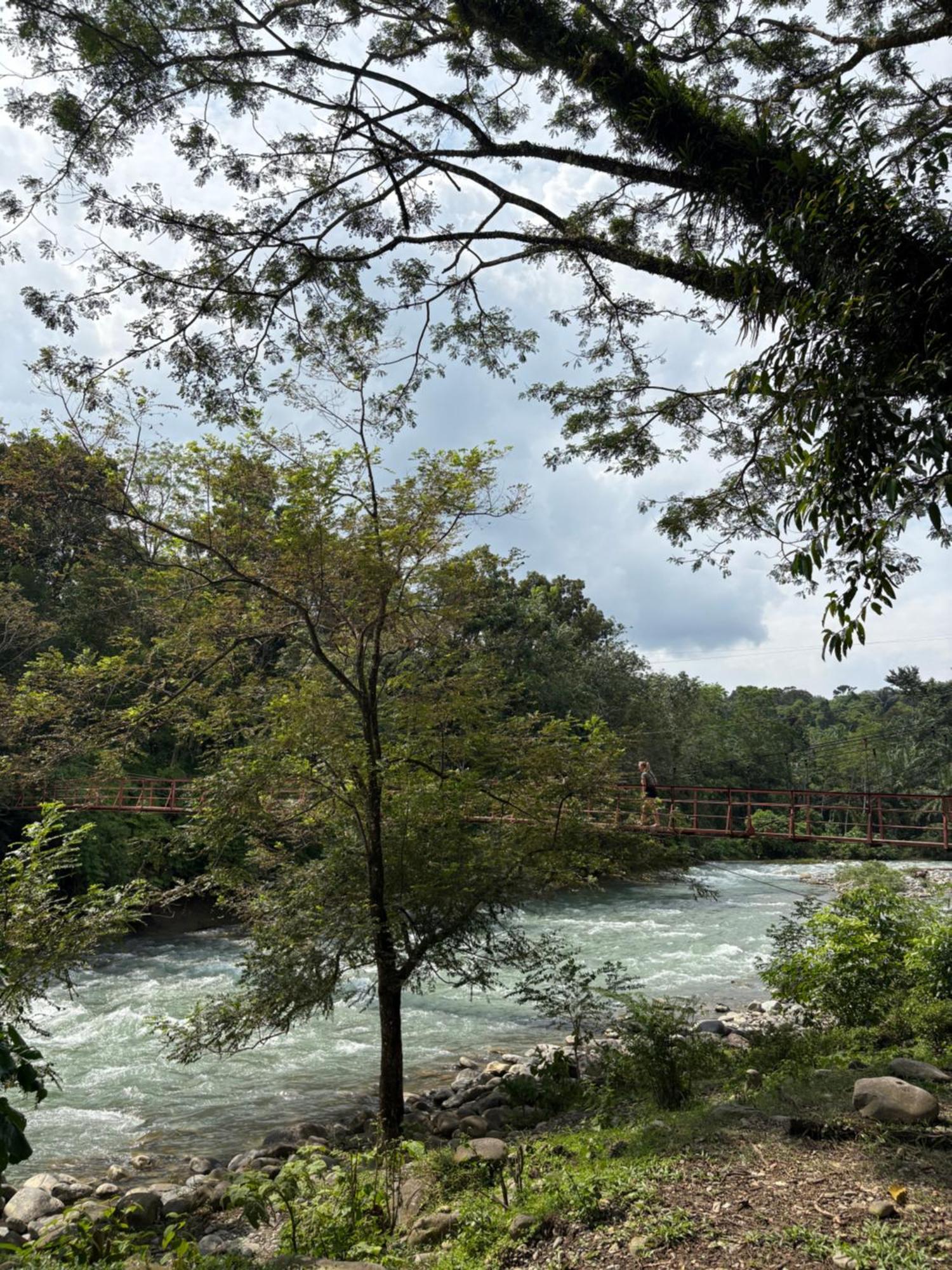 Asim Paris Guesthouse & Jungle Trekking Bukit Lawang Exterior foto